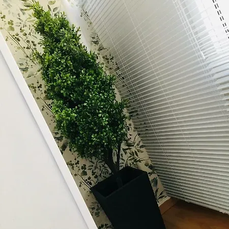 Apartamento Good Vibes Apartament Saragossa